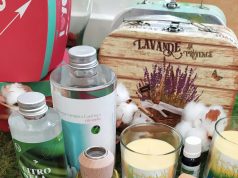Ambienta tu hogar con aroma a Citronela y… ¡Despídete de los molestos mosquitos! Ambientación para tu hogar con aroma a citronella