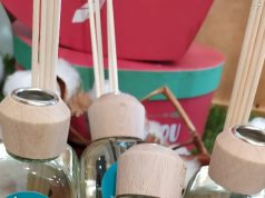Pon un Mikado con aroma a citronela y…. ¡Adiós a los molestos mosquitos! Ambientador citronela para ahuyentar mosquitos
