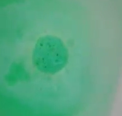 foto-video-bomba-de-bano-efervescente Bomba de baño efervescente